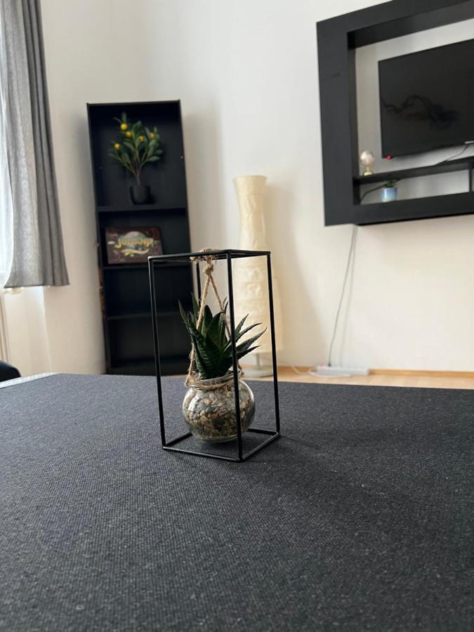 Magic Moment Apartment Viyana Dış mekan fotoğraf